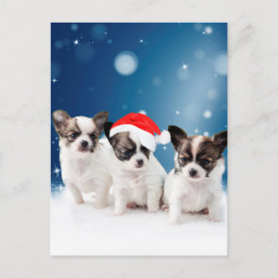 Niedliche Chihuahua Welpen mit Weihnachtsmannmütze Feiertagspostkarte