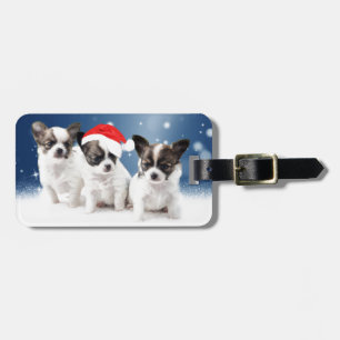 Niedliche Chihuahua Welpen mit Weihnachtsmannmütze Gepäckanhänger