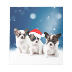 Niedliche Chihuahua Welpen mit Weihnachtsmannmütze Notizblock