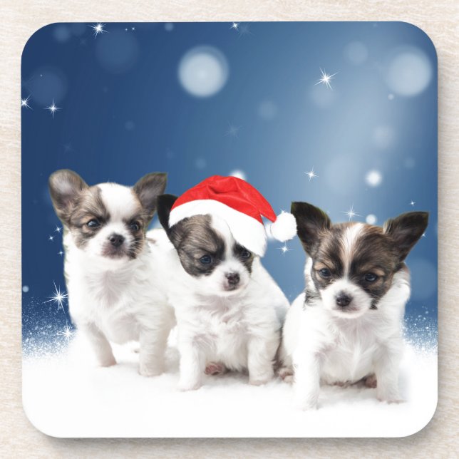 Niedliche Chihuahua Welpen mit Weihnachtsmannmütze Untersetzer (Vorderseite)