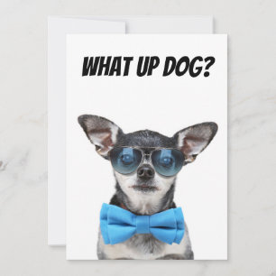 Niedliche Chihuahuagrußkarte Dankeskarte