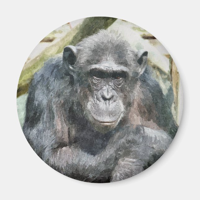 NIEDLICHE CHIMPANZEES MAGNET (Vorne)