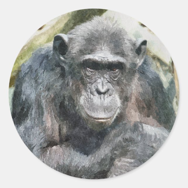 NIEDLICHE CHIMPANZEES RUNDER AUFKLEBER (Vorderseite)