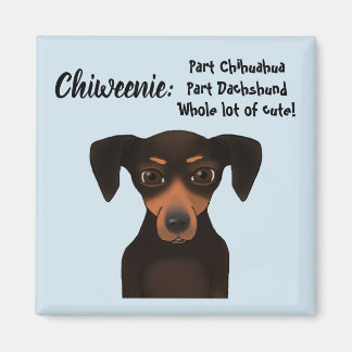 Niedliche Chiweenie Aufwertung Chihuahua Dackel Magnet