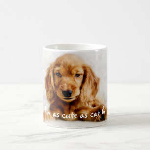 Niedliche Cockerspaniel-HundeTasse/-schale Kaffeetasse