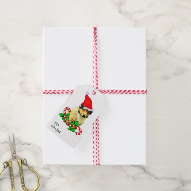 Niedliche Collie Puppy Weihnachtsmarken Geschenkanhänger (Mit Garn)