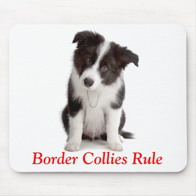 Niedliche Colliese an der Grenze Regel für Welpen- Mousepad (Vorne)