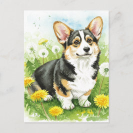 Niedliche Corgi Dandeli Frühjahr Postkarte