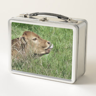 NIEDLICHE COW METALL BROTDOSE