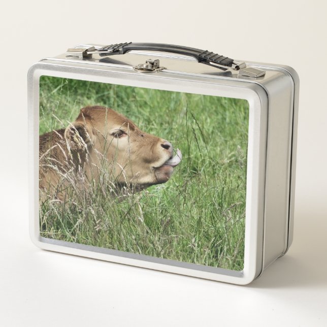 NIEDLICHE COW METALL BROTDOSE (Vorderseite)
