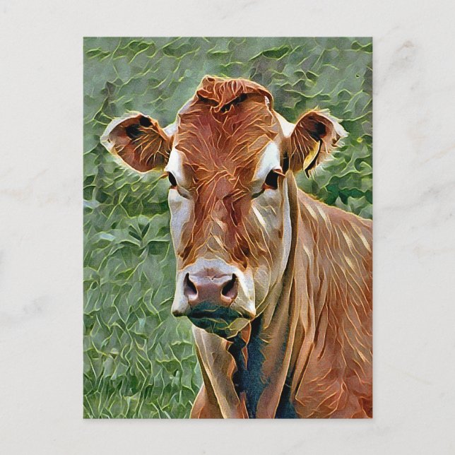 NIEDLICHE COW POSTKARTE (Vorderseite)