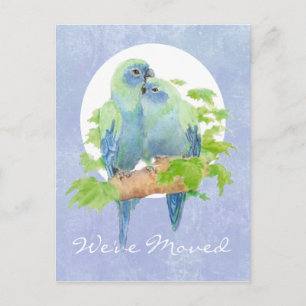 Niedliche Cuddling Tropical Parrots Adresse Neue Z Ankündigungspostkarte