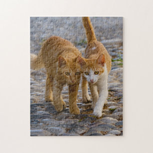 Niedliche Cudly Cats Kittens Friends Stony Path Fo