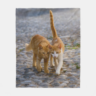 Niedliche Cudly Cats Kittens Friends Stony Path Fo Fleecedecke