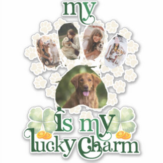 Niedliche Custom Paw Fotos Hund St Patrick's Day Aufkleber