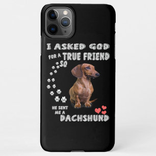 Niedliche Dackel Dackel Girl  Geschenke Dackel Mam iPhone 11Pro Max Hülle
