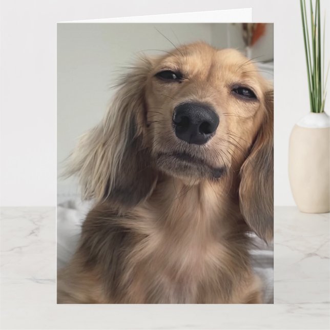 Niedliche Dackel Hund Geburtstag Karte (Vorderseite)