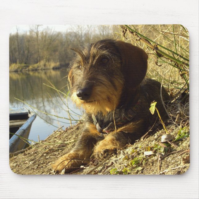 Niedliche Dackel in dem See Mousepad (Vorne)
