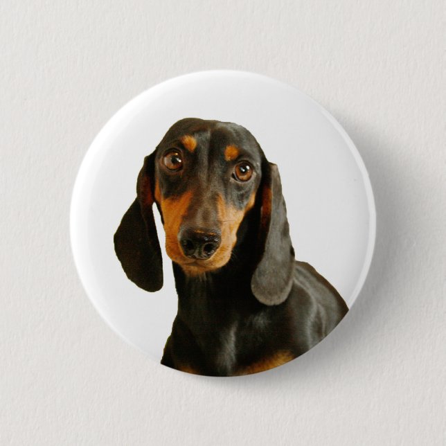 Niedliche Dackel (Miniaturbrown kurzhaarig) Button (Vorderseite)
