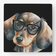 Niedliche Dackel mit schwarzer Brille
