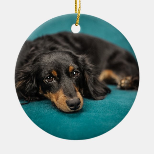 Niedliche Dackel-Niederlegung Keramik Ornament (Vorne)