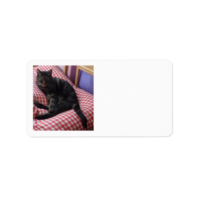 Niedliche Dave Return Labels Adressaufkleber (Vorne)