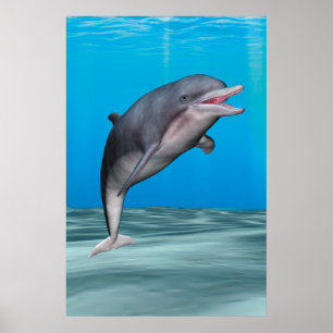 Niedliche Delphin Poster