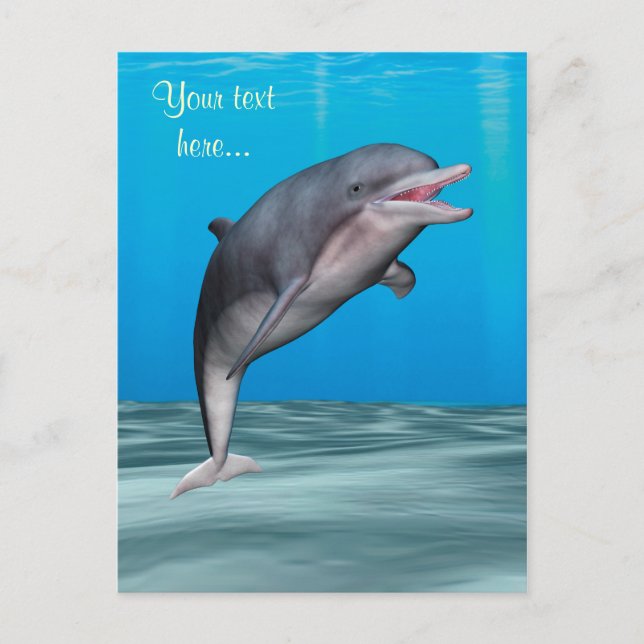 Niedliche Delphin Postkarte (Vorderseite)