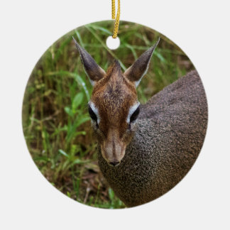 Niedliche Dik-Dik Keramik Ornament