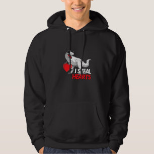 Niedliche Dinosaurier-Sonnenbrille Ich stehle Herz Hoodie