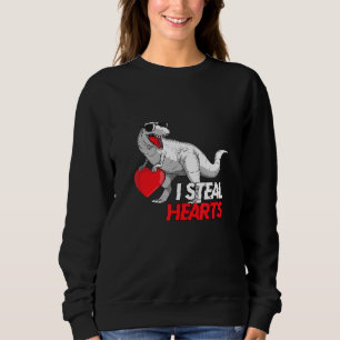 Niedliche Dinosaurier-Sonnenbrille Ich stehle Herz Sweatshirt