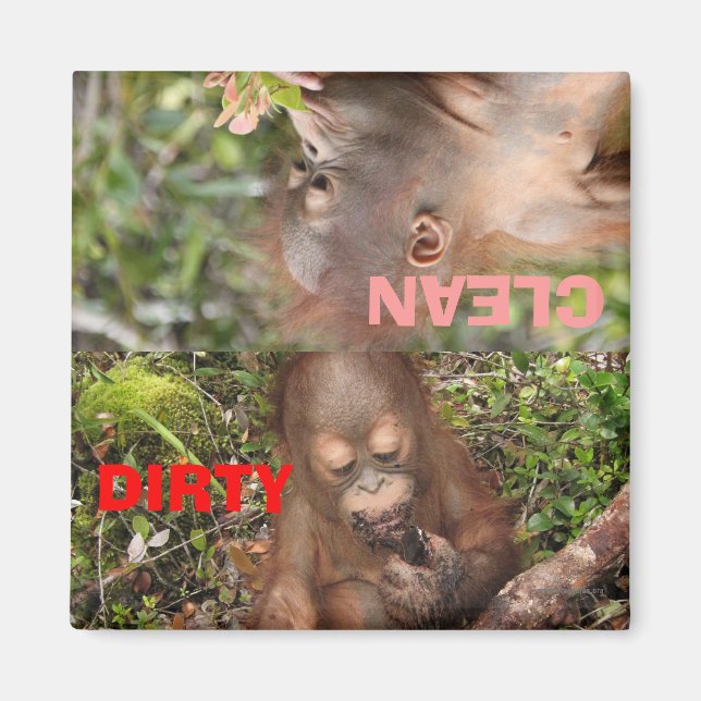 Niedliche Dirty oder saubere Geschirr in Geschirrs Magnet (Vorne)