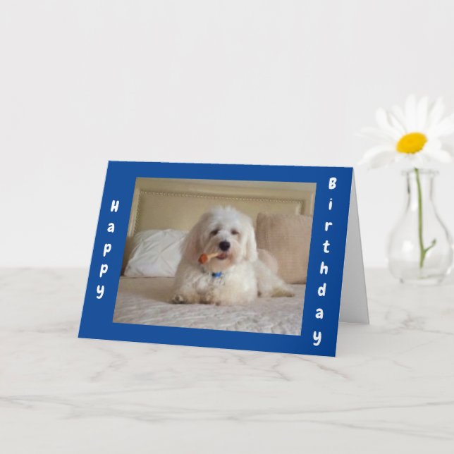 **NIEDLICHE DOGGIE WISHES** FREUNDLICHE KARTE (Kleine Pflanze)