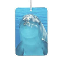 Niedliche Dolphin Lächeln Ozean Dolphin Lover