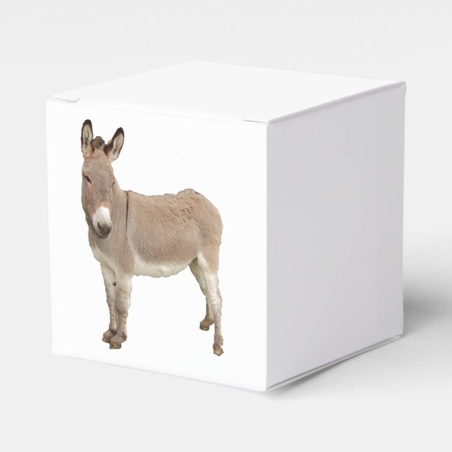 Niedliche Donkey Burro Fotografie Geschenkschachtel (Vorderseite)