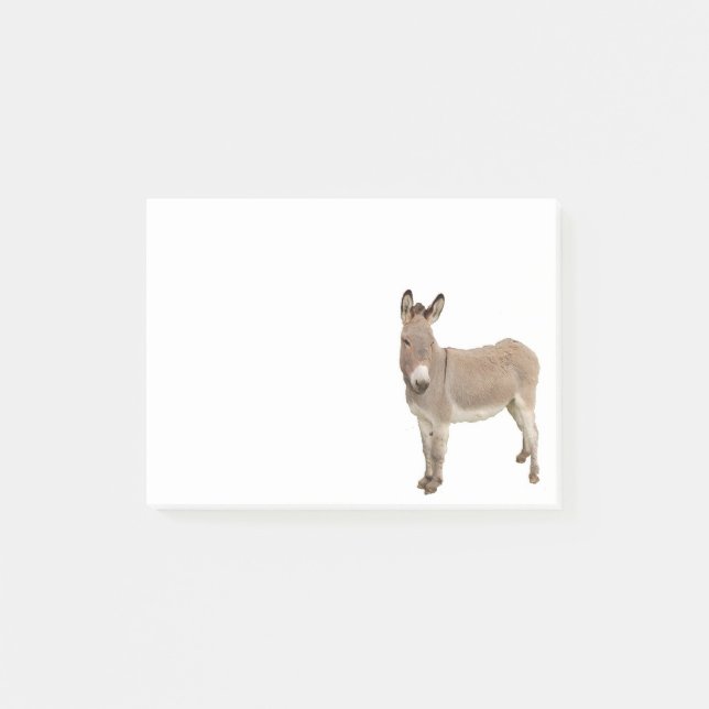 Niedliche Donkey Burro Fotografie Post-it Klebezettel (Vorderseite)