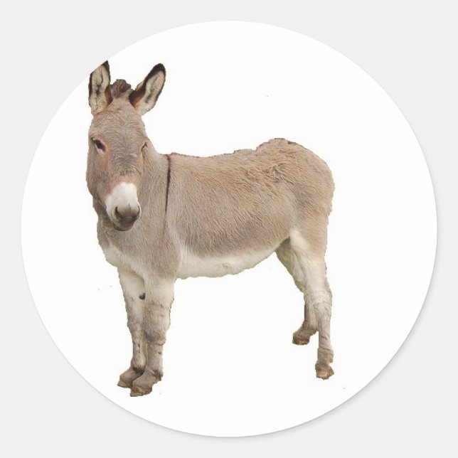 Niedliche Donkey Burro Fotografie Runder Aufkleber (Vorderseite)