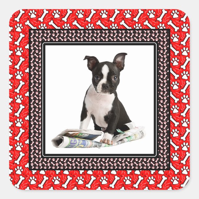 Niedliche Doppy Foto Paw and Bone Template Quadratischer Aufkleber (Vorderseite)