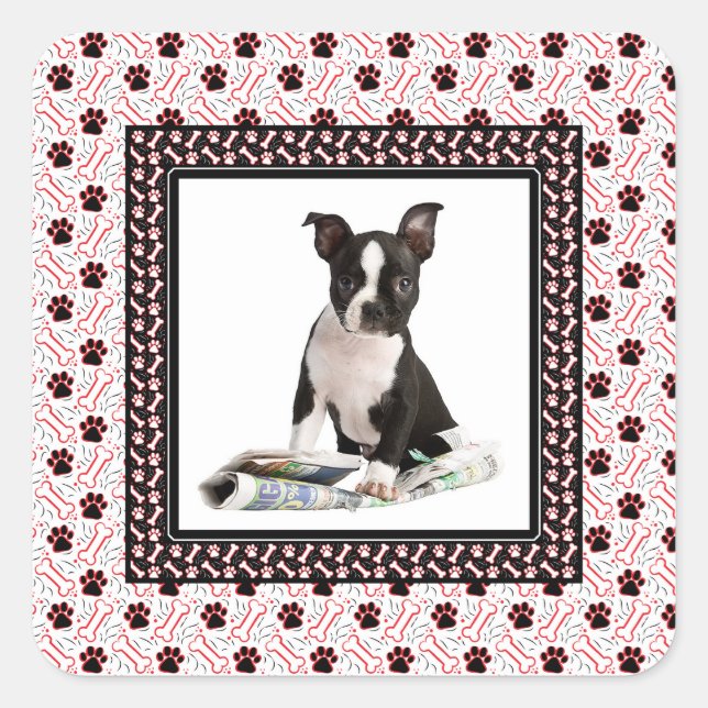 Niedliche Doppy Foto Paw and Bone Template Quadratischer Aufkleber (Vorderseite)