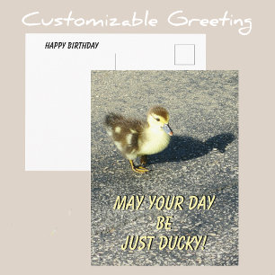 Niedliche Duckling Happy Birthday Wildlife Fotogra Postkarte