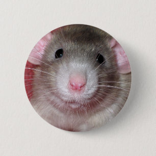 Niedliche Dumbo Ratte Button