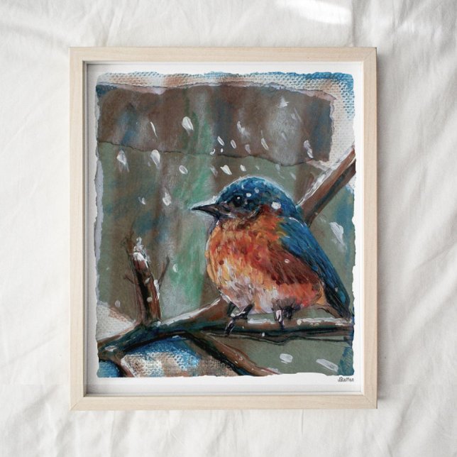 Niedliche Eastern Bluebird Winter Art Print Poster (Von Creator hochgeladen)