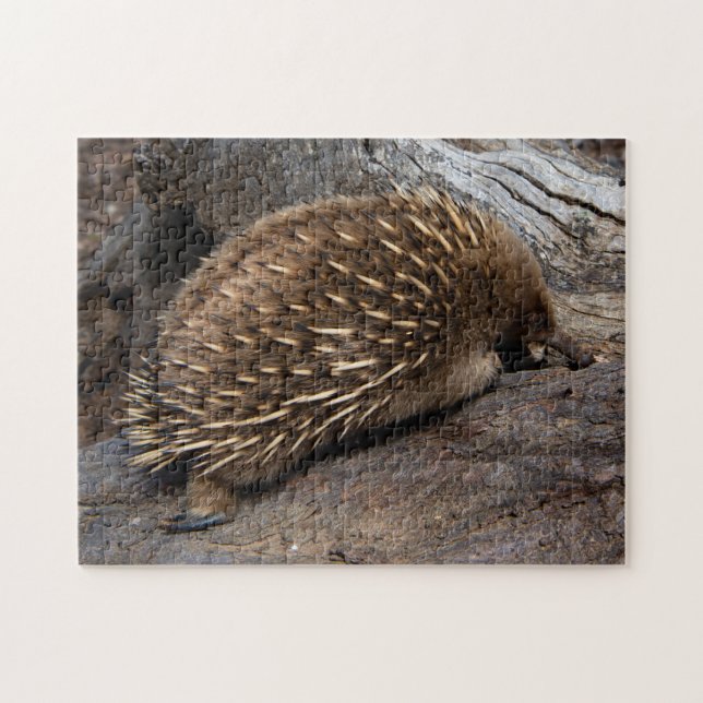 Niedliche Echidna Australien, Kinder 252 Stück (Horizontal)