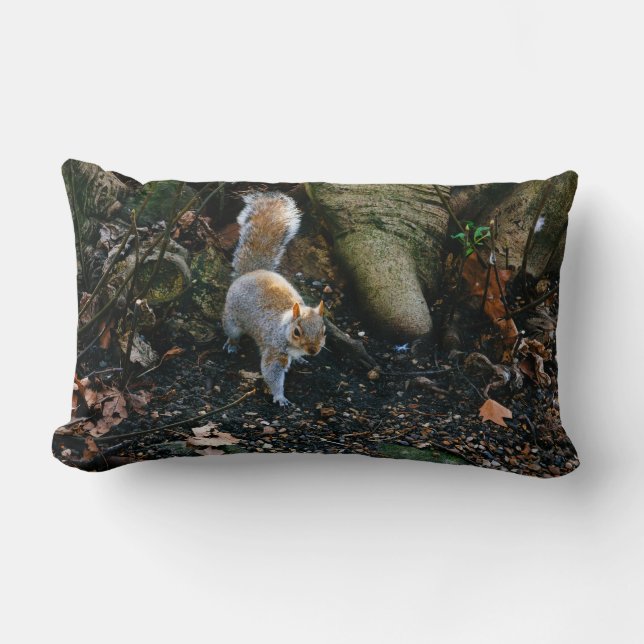 Niedliche Eichhörnchen-Fotografie, Tier im Wald Lendenkissen (Vorderseite)