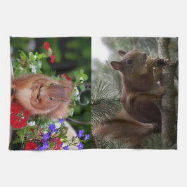 Niedliche Eichhörnchen Geschirrtuch