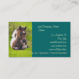 Niedliche einjährige Fohlengeschäftskarten Visitenkarte