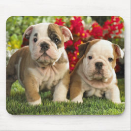 Niedliche englische Bulldog Welpenhunde Mousepad