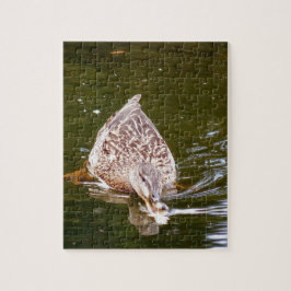 Niedliche Ente Fütternd