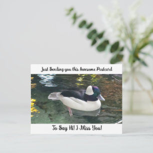 Niedliche Ente "I Miss YOU" Sprichwort Hi Post Car Postkarte