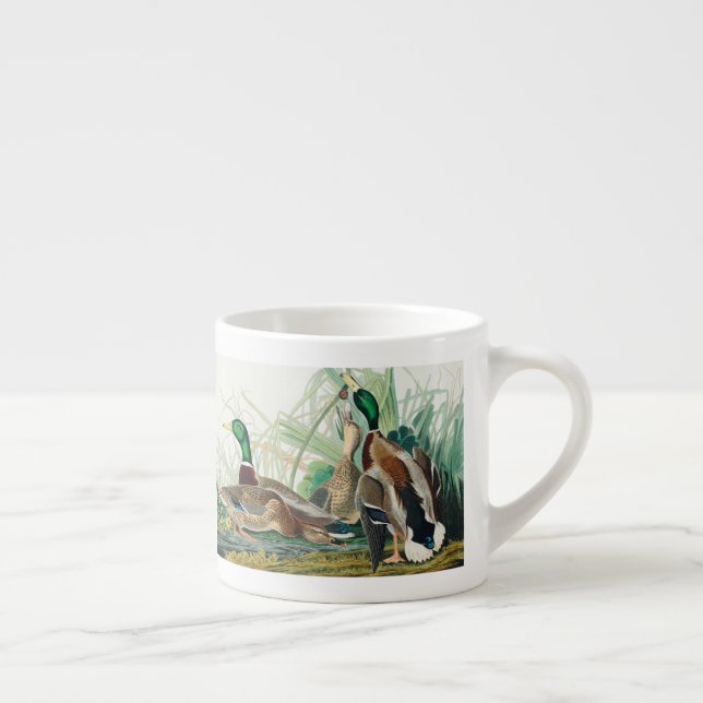 Niedliche Enten von Vögeln Amerikas (Audubon) Espressotasse (Rechts)